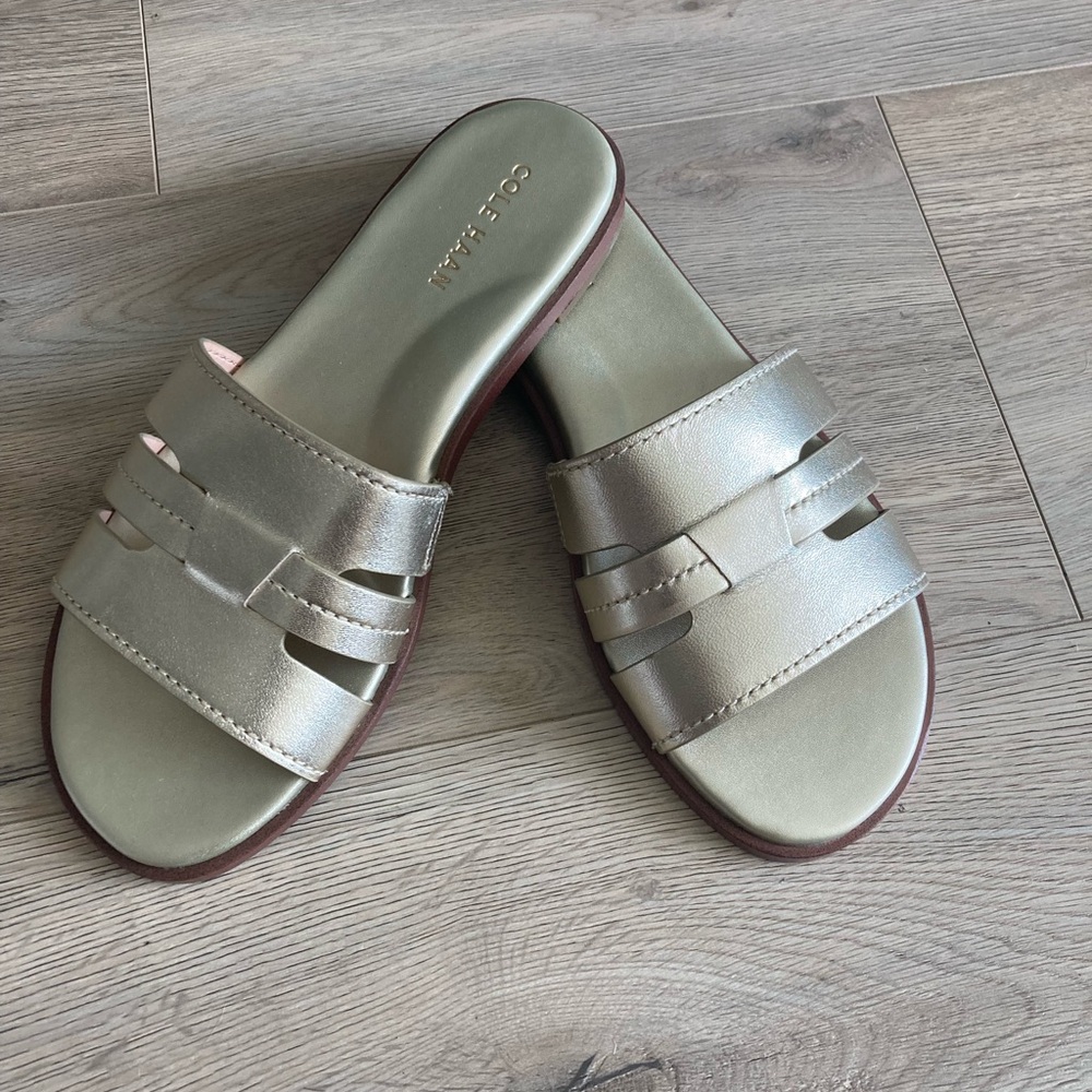 Cole Haan Women's Flynn Metallic Slotted Slides Flat Sandal BNWOT, No Box